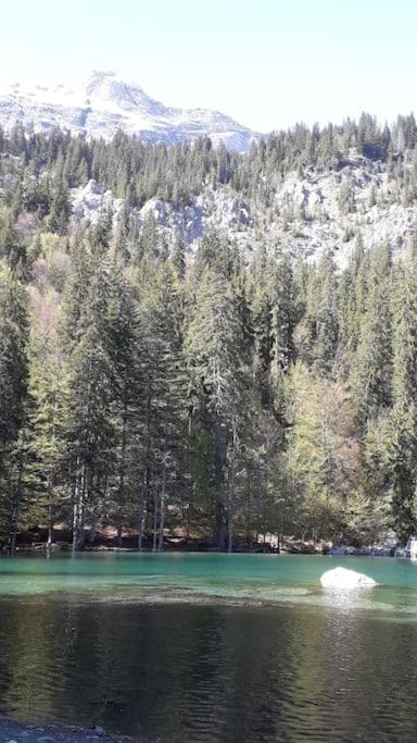 A Cordon Entre Bois Et Nature Bagian luar foto